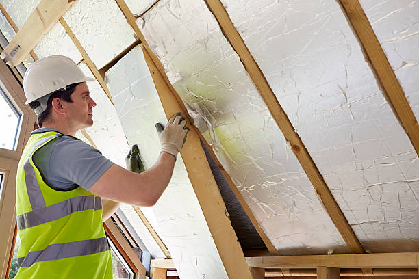 Best Energy Efficiency Solutions in Mountain View, HI